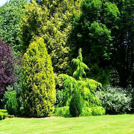 Le Petit Verger Panzió 3*