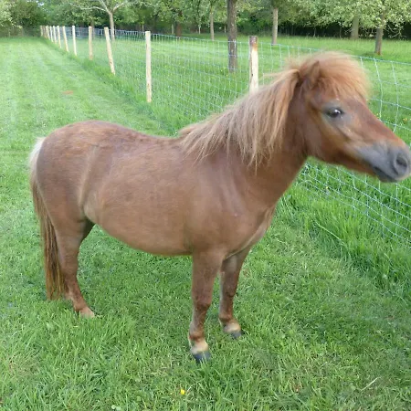Couette-café Le Petit Verger